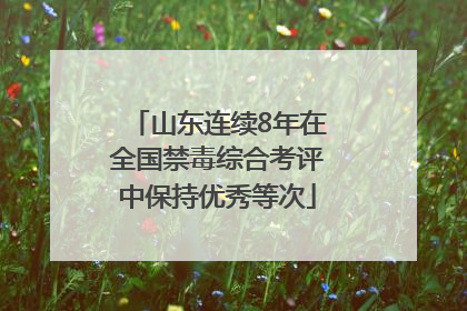 山东连续8年在全国禁毒综合考评中保持优秀等次