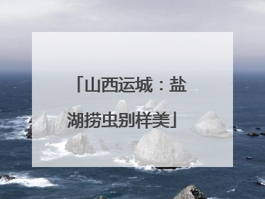 山西运城：盐湖捞虫别样美