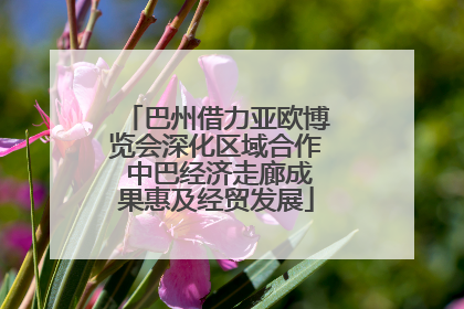 巴州借力亚欧博览会深化区域合作 中巴经济走廊成果惠及经贸发展