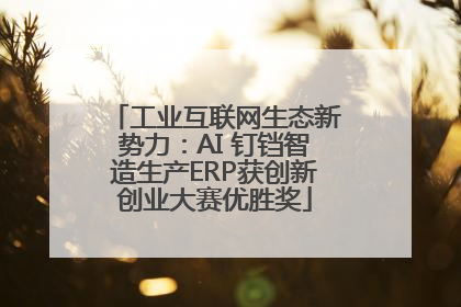 工业互联网生态新势力：AI 钉铛智造生产ERP获创新创业大赛优胜奖