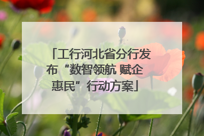 工行河北省分行发布“数智领航 赋企惠民”行动方案
