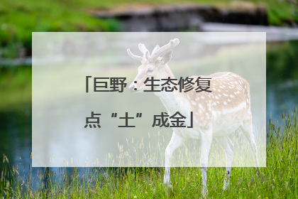 巨野：生态修复点“土”成金