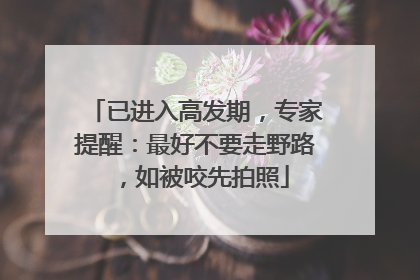 已进入高发期，专家提醒：最好不要走野路，如被咬先拍照