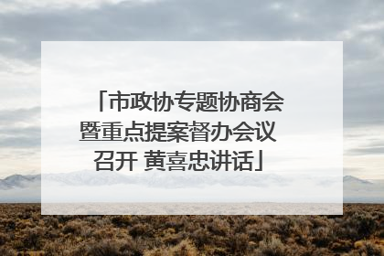 市政协专题协商会暨重点提案督办会议召开 黄喜忠讲话