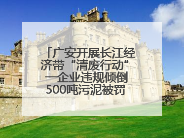 广安开展长江经济带“清废行动” 一企业违规倾倒500吨污泥被罚8万元