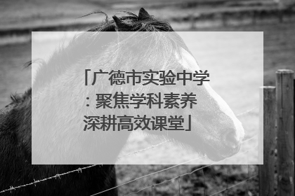 广德市实验中学：聚焦学科素养 深耕高效课堂