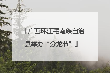 广西环江毛南族自治县举办“分龙节”