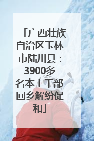 广西壮族自治区玉林市陆川县：3900多名本土干部回乡解纷促和