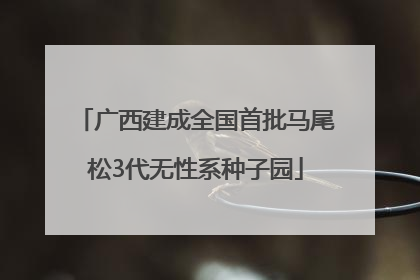 广西建成全国首批马尾松3代无性系种子园