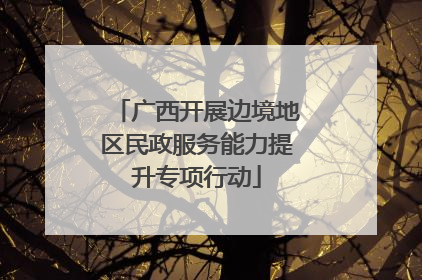 广西开展边境地区民政服务能力提升专项行动