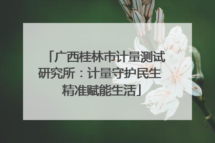 广西桂林市计量测试研究所：计量守护民生 精准赋能生活