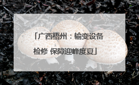 广西梧州：输变设备检修 保障迎峰度夏