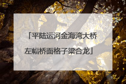 平陆运河金海湾大桥左幅桥面格子梁合龙