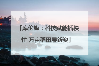 库伦旗：科技赋能插秧忙 万亩稻田展新姿