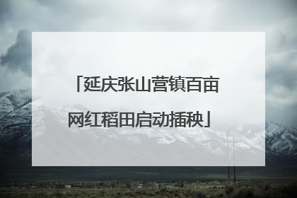 延庆张山营镇百亩网红稻田启动插秧