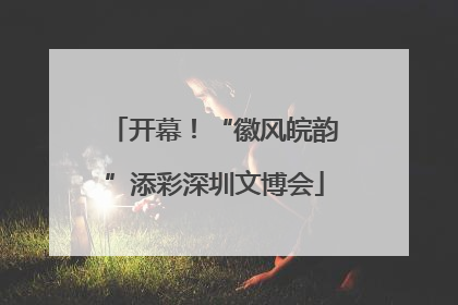 开幕！“徽风皖韵”添彩深圳文博会