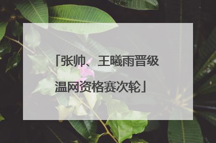 张帅、王曦雨晋级温网资格赛次轮
