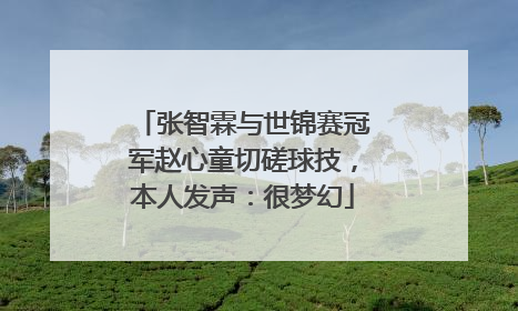 张智霖与世锦赛冠军赵心童切磋球技，本人发声：很梦幻