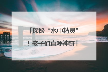 探秘“水中精灵”！孩子们直呼神奇