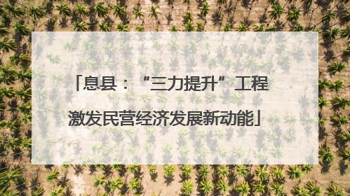 息县：“三力提升”工程 激发民营经济发展新动能