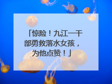 惊险！九江一干部勇救落水女孩，为他点赞！