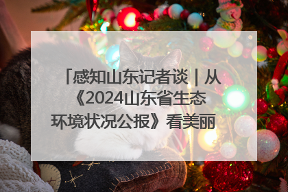 感知山东记者谈｜从《2024山东省生态环境状况公报》看美丽山东建设的“成绩单”与“任务书”