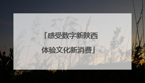 感受数字新陕西 体验文化新消费