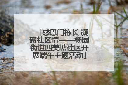感恩门栋长 凝聚社区情——杨园街道四美塘社区开展端午主题活动