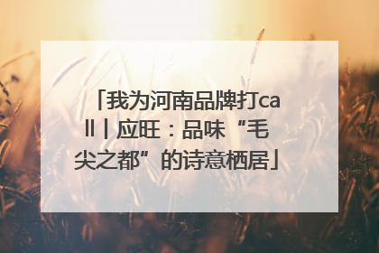 我为河南品牌打call丨应旺：品味“毛尖之都”的诗意栖居