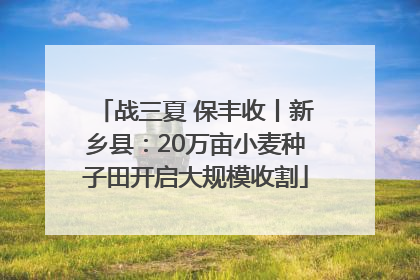 战三夏 保丰收丨新乡县：20万亩小麦种子田开启大规模收割