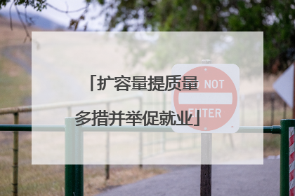 扩容量提质量 多措并举促就业