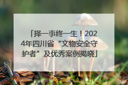 择一事终一生！2024年四川省“文物安全守护者”及优秀案例揭晓