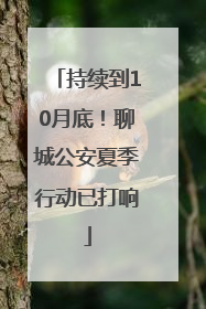 持续到10月底！聊城公安夏季行动已打响