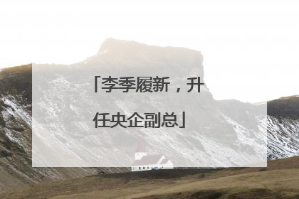 李季履新，升任央企副总