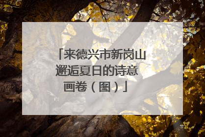 来德兴市新岗山 邂逅夏日的诗意画卷（图）