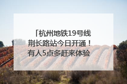 杭州地铁19号线荆长路站今日开通！有人5点多赶来体验：太方便了