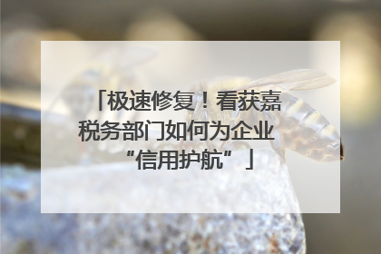 极速修复！看获嘉税务部门如何为企业“信用护航”