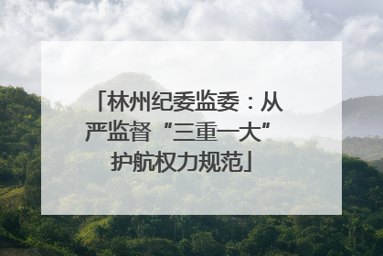 林州纪委监委：从严监督“三重一大” 护航权力规范