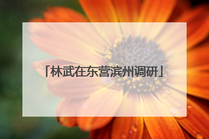 林武在东营滨州调研