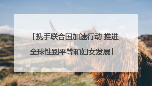 携手联合国加速行动 推进全球性别平等和妇女发展