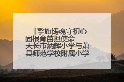 擎旗铸魂守初心 固根育苗担使命——天长市炳辉小学与萧县师范学校附属小学结对共建活动纪实
