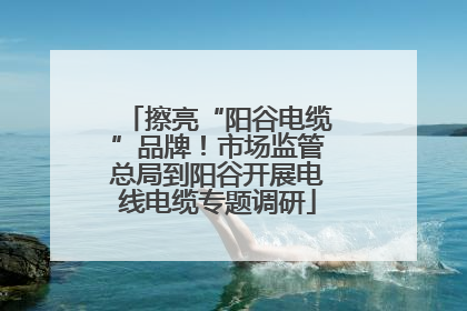 擦亮“阳谷电缆”品牌！市场监管总局到阳谷开展电线电缆专题调研