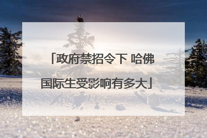 政府禁招令下 哈佛国际生受影响有多大