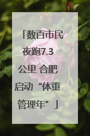 数百市民夜跑7.3公里 合肥启动“体重管理年”