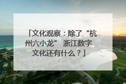 文化观察：除了“杭州六小龙” 浙江数字文化还有什么？