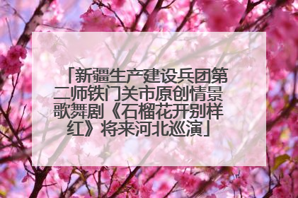 新疆生产建设兵团第二师铁门关市原创情景歌舞剧《石榴花开别样红》将来河北巡演