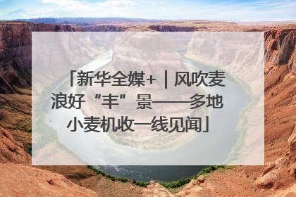 新华全媒+｜风吹麦浪好“丰”景——多地小麦机收一线见闻