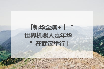 新华全媒+丨“世界机器人嘉年华”在武汉举行