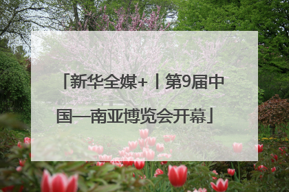 新华全媒+丨第9届中国—南亚博览会开幕