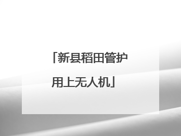 新县稻田管护用上无人机
